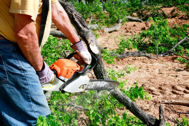 Seasonal Cleanup (Spring/Fall) in Stansbury Park, UT